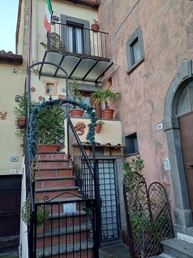 B&B Bellavista Bagnoregio Eksteriør billede