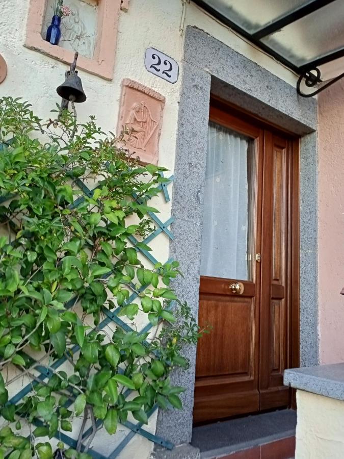 B&B Bellavista Bagnoregio Eksteriør billede