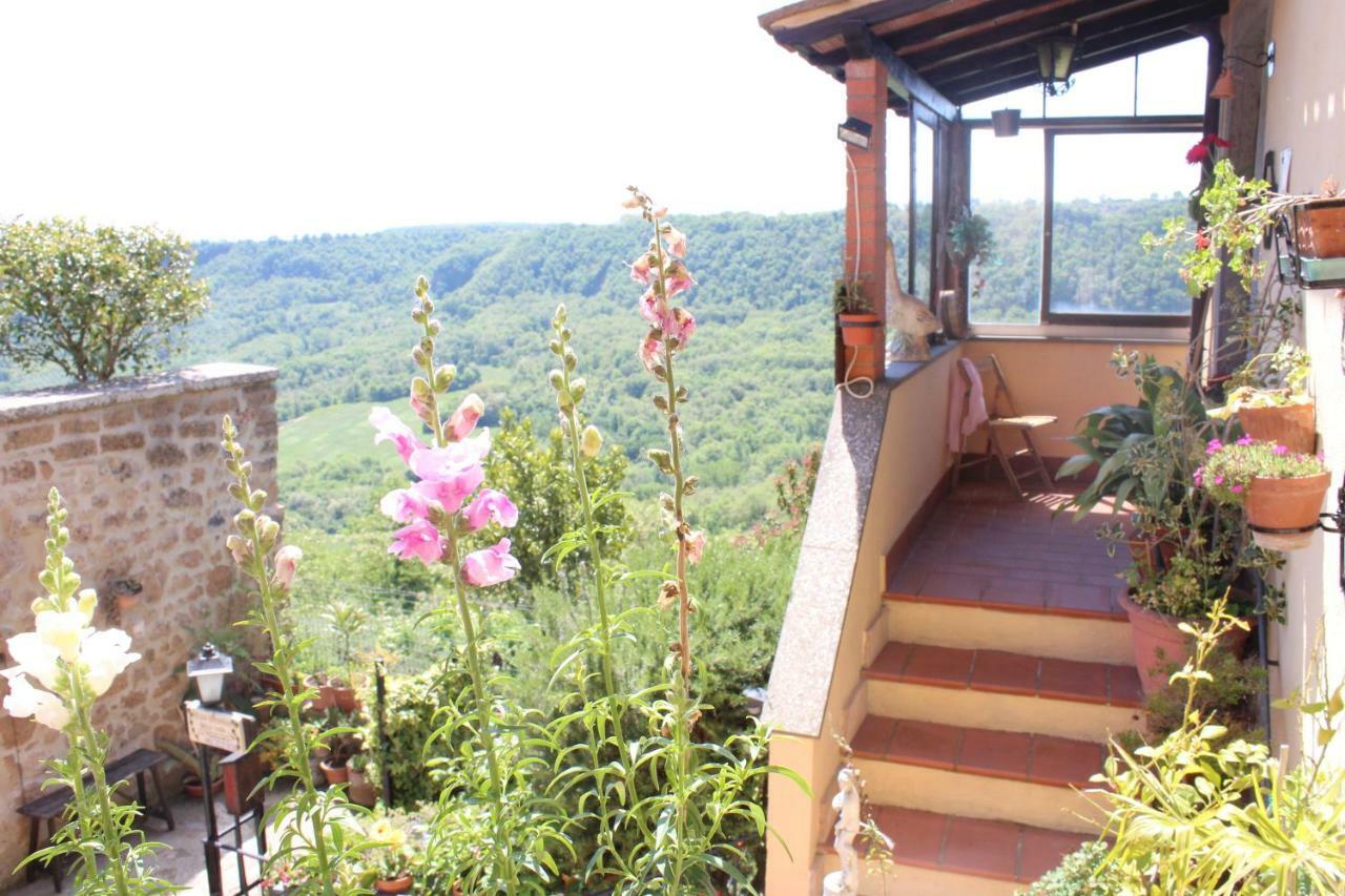 B&B Bellavista Bagnoregio Eksteriør billede